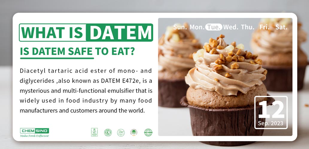What is DATEM E472e & Is It Safe to Eat?