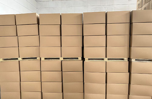 35トンのDATEMがエジプトに出荷3