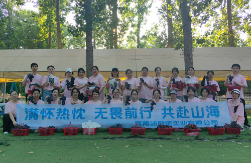 35トンのDATEMがエジプトに出荷3