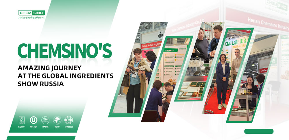 Chemsino's Amazing Journey at the Global Ingredients Show Russia