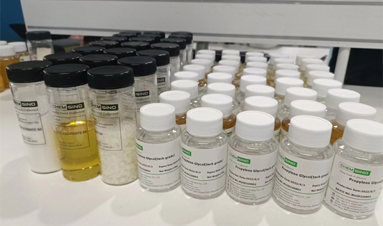 CHEMSINO の準備とプレゼンテーション