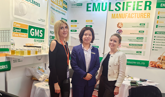 CHEMSINO の準備とプレゼンテーション