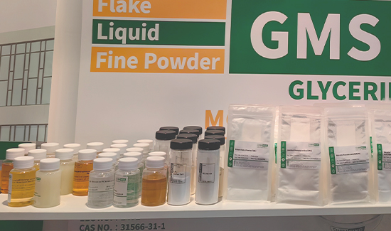 CHEMSINO の準備とプレゼンテーション