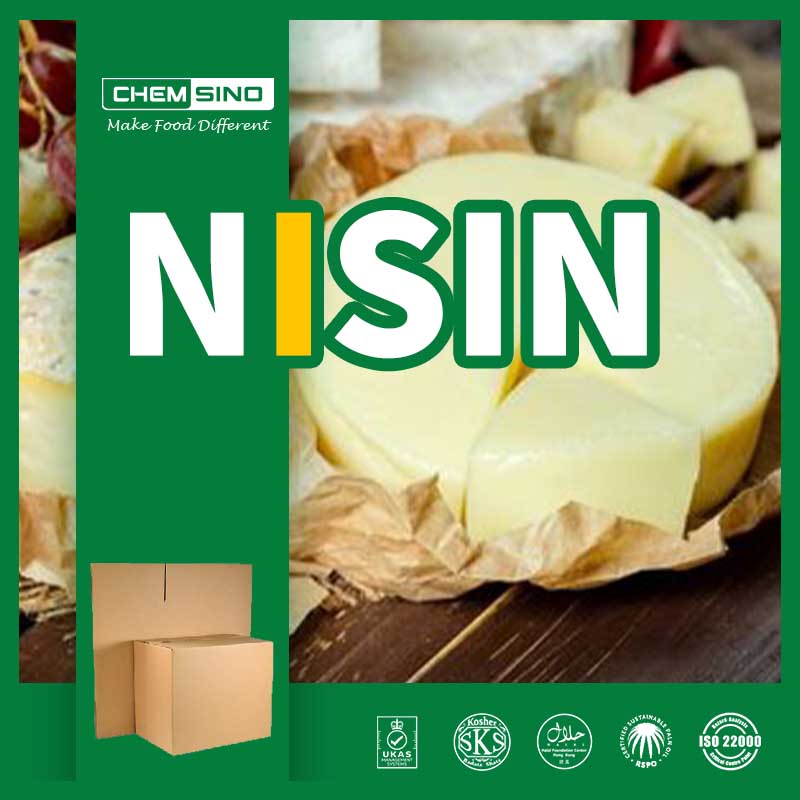 Nisin Ingredient Used in Food As Natural Preservative