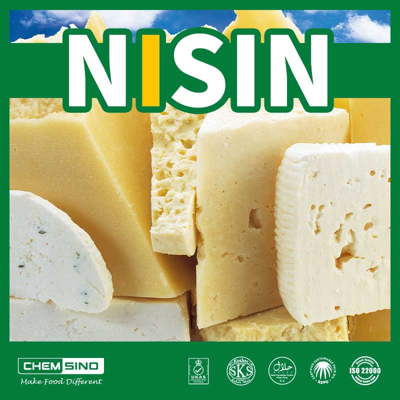 Nisin Manufacturer High Purity Ingredients Sourcing Supplier