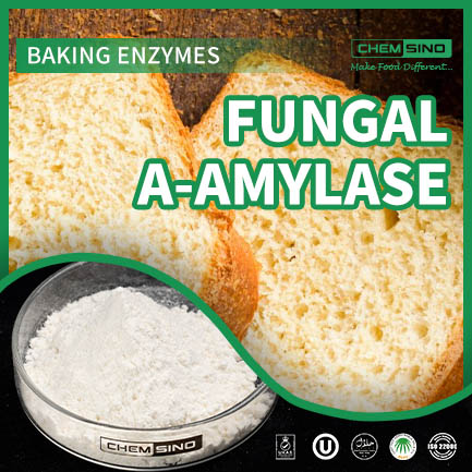 Food Grade Fungal Amylase E1100 for Controlled Hydrolysis