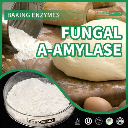 Fungal Alpha Amylase Enzyme for Flour Treatment