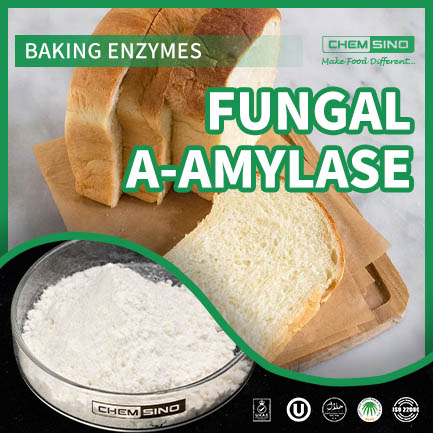 Fungal Amylase E1100 Enzyme for Food Processing