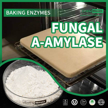High-Activity Fungal Amylase E1100 for Industrial Use