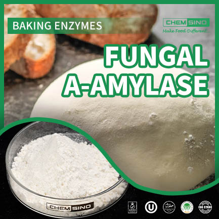 Industrial Fungal α-Amylase Enzyme Solution