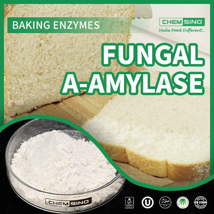 Reliable Fungal Amylase Enzyme for Bakery Use